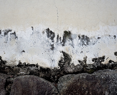 Exposition : « Nara » de Claire de Virieu