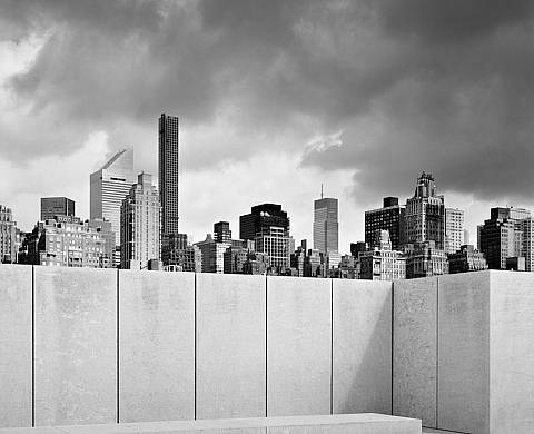 Exposition : « New York Trees, Rocks & Clouds » de Mitch Epstein