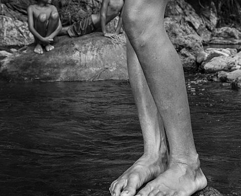 Exposition : « Hommage à Claude Lévi Strauss » de Pierre de Vallombreuse