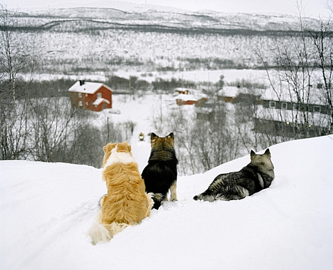 Exposition : « Màze » de Céline Clanet