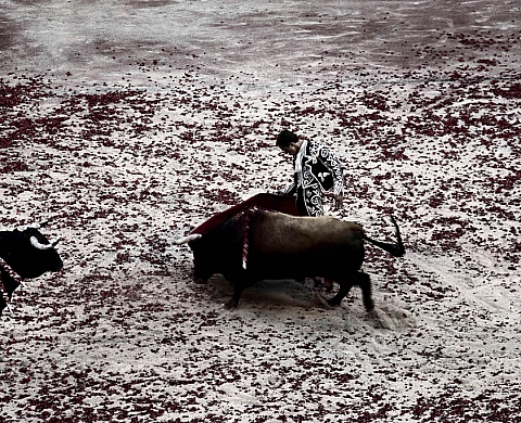 Exposition : « L’Abyme & le Vent » de Meyer