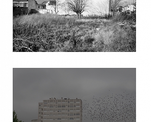 Exposition : « Quatre vingt treize plus que jamais » de Bertrand Meunier & Alain Willaume