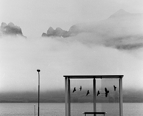 Exposition : « Où sont passés nos rêves ? » de Bernard Descamps