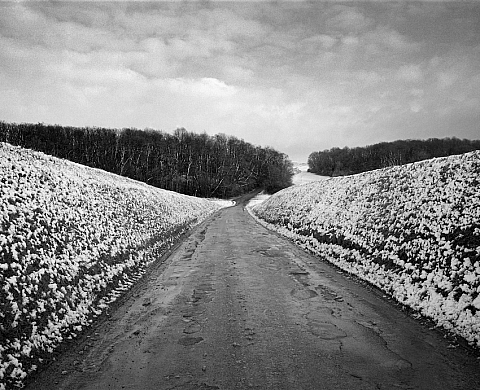 Exposition : « Dans le sens du paysage » d'Olivier Verley