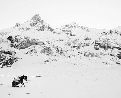 Palmarès du concours « Sony World Photography Awards 2017 » Palmarès du concours « Sony World Photography Awards 2017 »