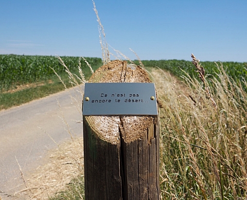 La paysage à l'honneur La paysage à l'honneur