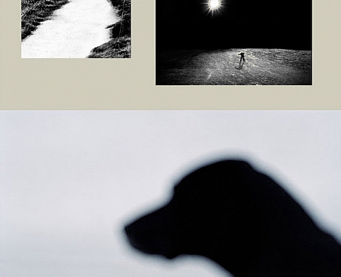 "Les îles" de Jean-François Spricigo