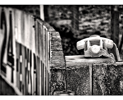 L'Abbaye royale de l'Epau comme lieu d'exposition