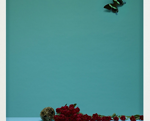 Une exposition personnelle du photographe japonais Satoshi Saïkusa