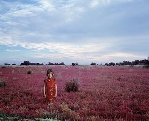 Mireille Loup - Esquives