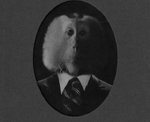 Maurice Renoma - Mythologies Maurice Renoma - Mythologies
