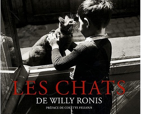 Les chats de Willy Ronis Les chats de Willy Ronis