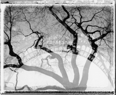 12 photographes de VU présentent Paris Romantique