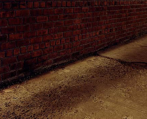 What you see - Brigitte Lustenberger