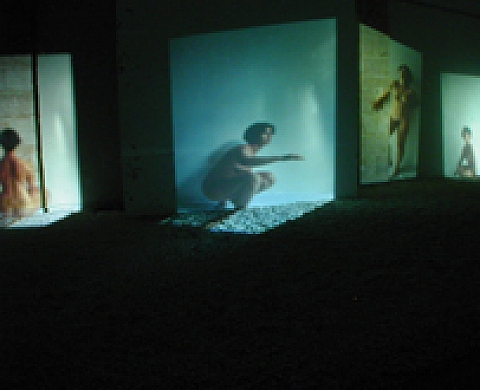 « Transparence » photographies en caisson lumineux à la projection ou à la radiographie