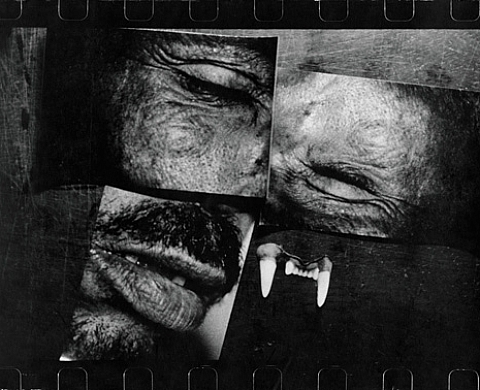 Miguel Rio Branco Dislecsia