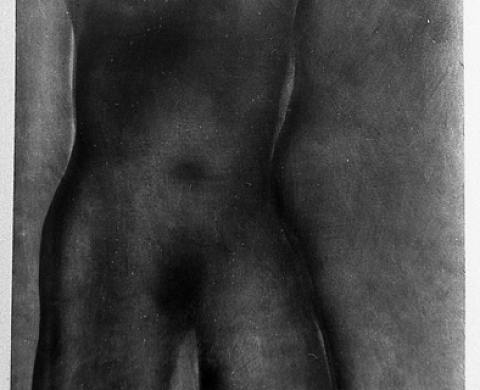 Fotogrammi Paolo Foletti