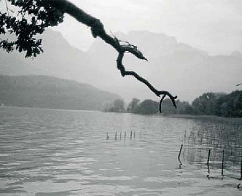 Bernard Plossu Littoral Des Lacs