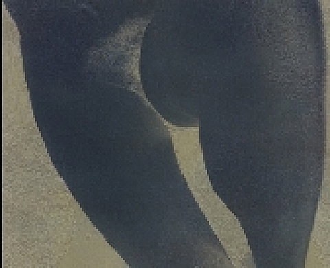 Euro Rotelli - Vibrazioni