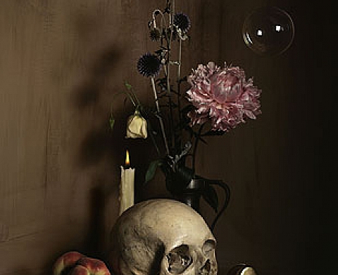 Guido Mocafico Nature Morte Guido Mocafico Nature Morte