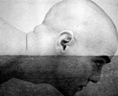 Eduard Ibanez - Narcisse, ou la mémoire de l'autre Eduard Ibanez - Narcisse, ou la mémoire de l'autre