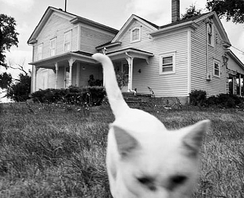 Andreas Horvath - Heartlands Sketches of Rural America Andreas Horvath - Heartlands Sketches of Rural America