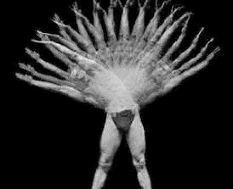 Georges Demenÿ (1850-1917) - La Chronophotographie