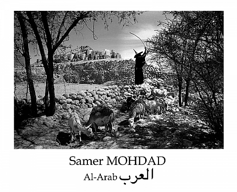 Photographies de  Samer Mohdad