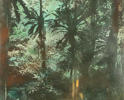 Alfons Alt - Tropicalia Gravures photogéniques et pigments