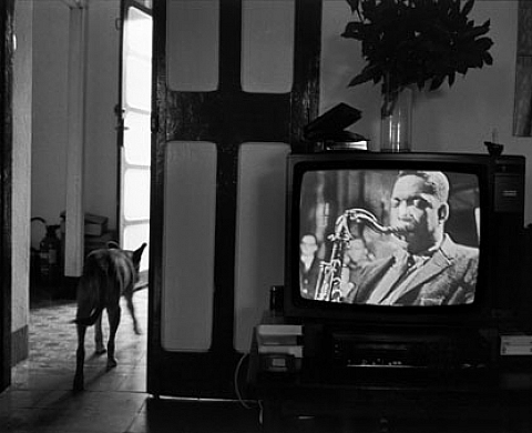 Guy Le Querrec « Le jazz de J à ZZ, alternate take »