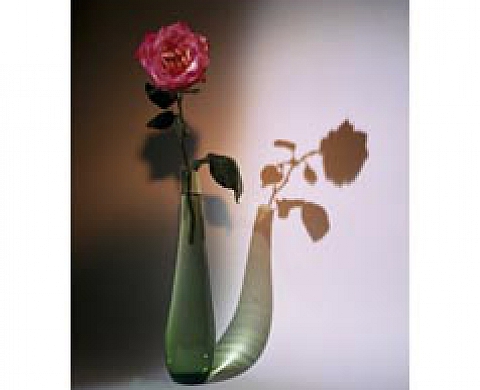 Temps d'exposition Camille Vivier, Philippe Gontier, Sheldon Heitner, Jean-Baptiste Blom