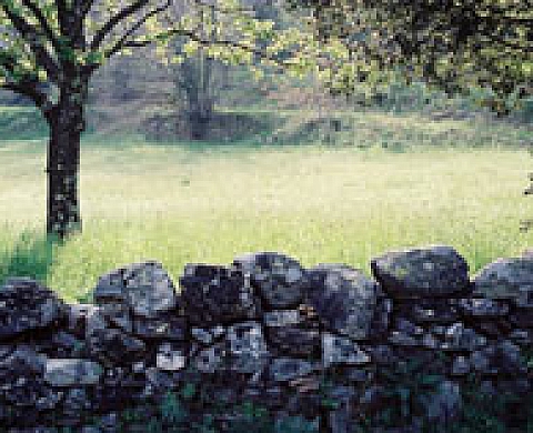 Azimutt sur le sentier des Lauzes