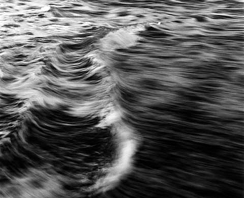 Rieko Tamura Photographies