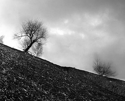 Sophie Deballe Terre, traces et défilement