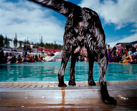 Lars Tunbjörk I love borås ! au Centre Culturel Suédois