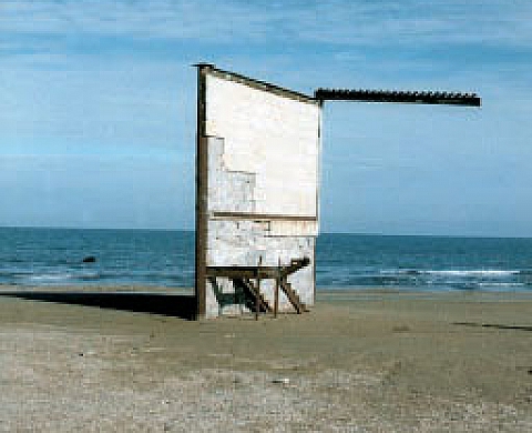 « Images narratives / narratives images »