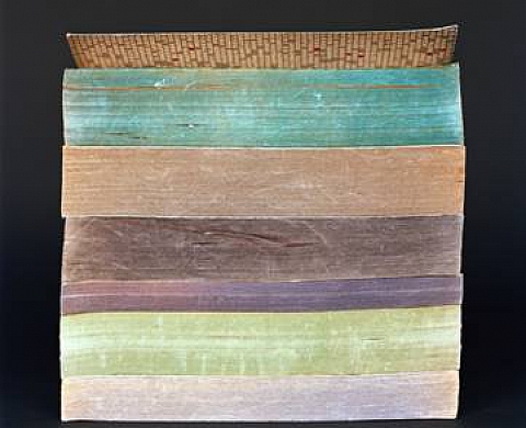 Denis Baudier - La couleur des livres