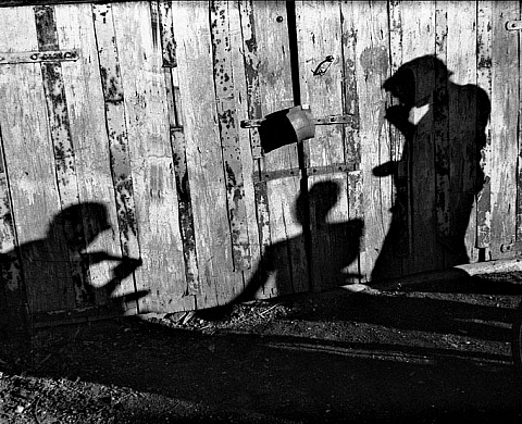 Anya Maysuk « Le dernier l'été de l'enfance »