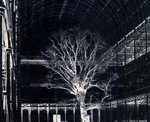 Premières photographies sur papier (1840-1860)