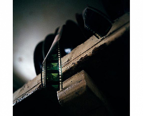 OCCUPATION(s)  Picturetank à VISA pour l'Image