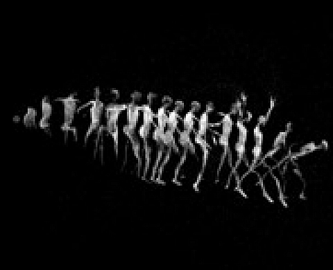 Mouvements focalisés II - Expositions de photographies