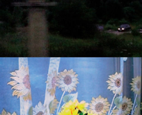 Mark Raidpere International