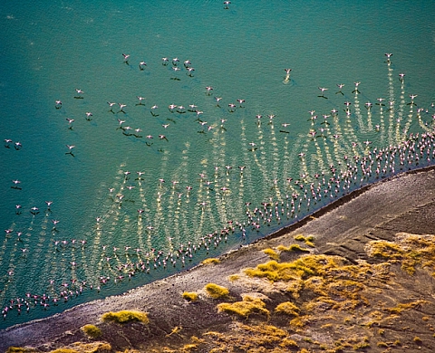 Out of Africa Horst Klemm, Michael Poliza, Laurent Baheux, René Clohse et Hans Gasser