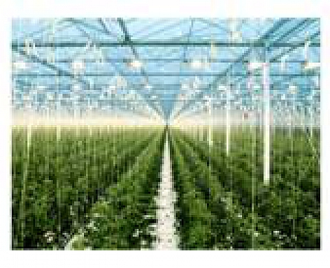 Cedric Delsaux « Nous resterons sur la terre »