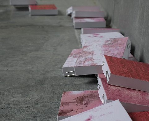 Vincent Roumagnac « Sakura Zensen II », photographie, installation