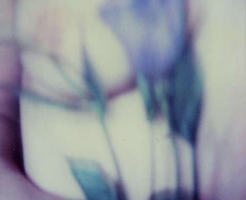 Polaroid  Gladys, sacha lang, patricia canino, sabrina biancuzzi, dominique souse, clotilde noblet, jean-marie francius