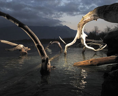 Laurent Geslin Lumières de lac