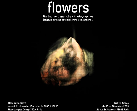 Guillaume Dimanche flowers photographies