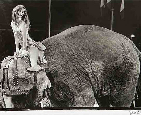 Photographies de célébrités & Photographies anciennes et modernes in Paris