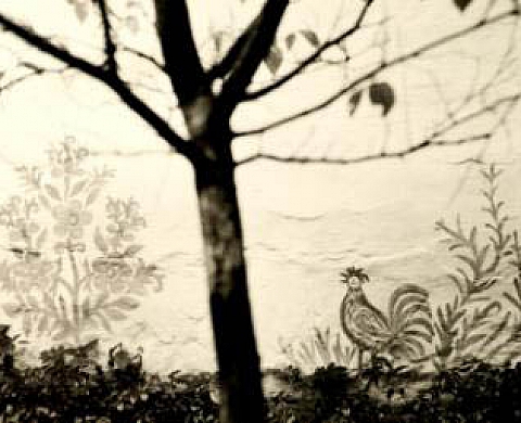 TRANSMIGRATION. QUATRE PHOTOGRAPHES MEXICAINS EN EUROPE